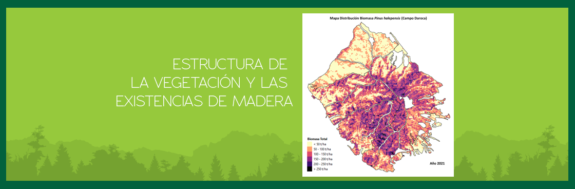 El Grupo Operativo Prominifun evalúa la estructura de la vegetación y las existencias de madera en todas las comarcas forestales del proyecto