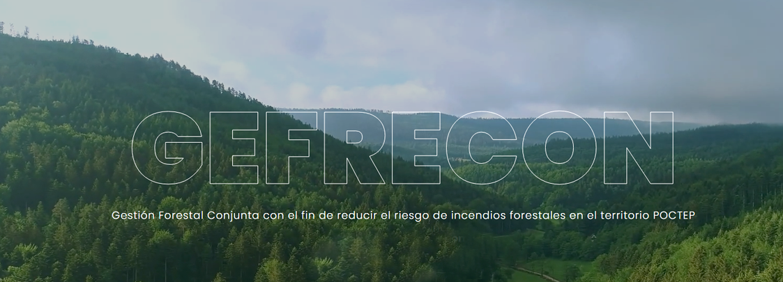 GEFRECON