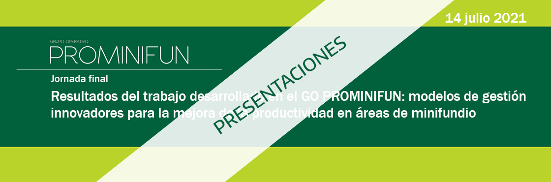Disponibles las presentaciones de la jornada final de presentación de resultados del GO PROMINIFUN